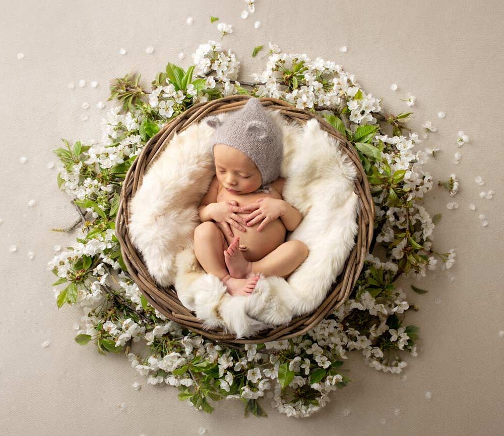 Baby Fotografin Nuernberg