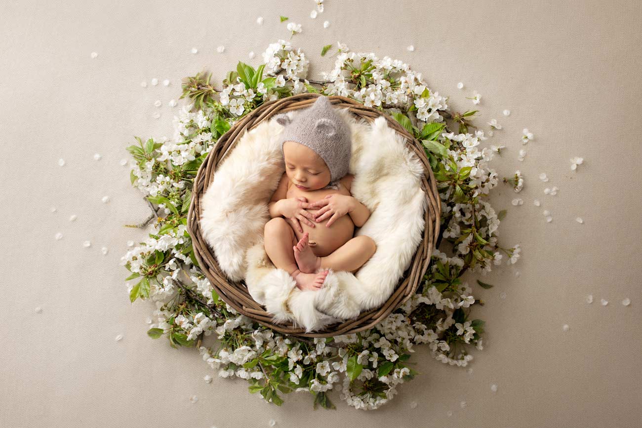 Neugeborene Fotos in der Schale mit Blumen Baby Fotografin Nuernberg